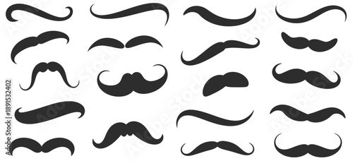 Hand-drawn swirl swoosh vector set, including decorative underline strokes, calligraphic embellishments, and stylish ornamental elements, ideal for branding, typography, digital artwork, and creative 