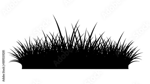 Silhouette of lush green grass blades growing in a clump.