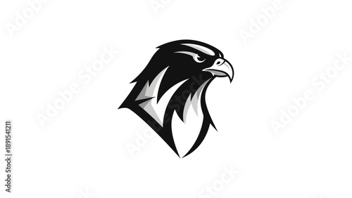 Stylized Black and White Eagle Head Vector Illustration.