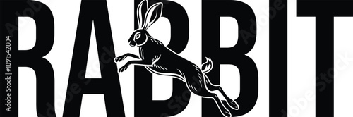 Rabbit Animal Design Image