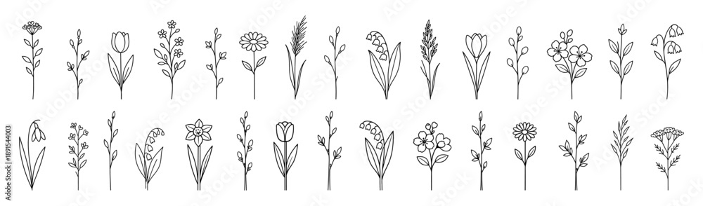 Fototapeta premium Minimal line art flowers collection in black outline style. Hand drawn botanical elements isolated on white background