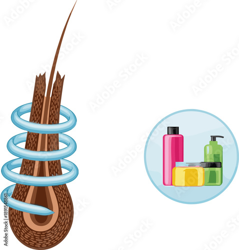 Hair structure protection concept, shampoo and conditioner care, damaged strand repair, cosmetic treatment vector illustration isolated on white background