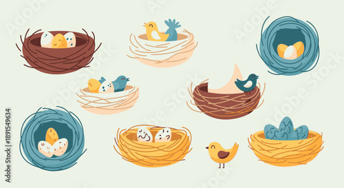 Various bird nests with eggs and birds in different stages of nesting, illustrated in a whimsical style