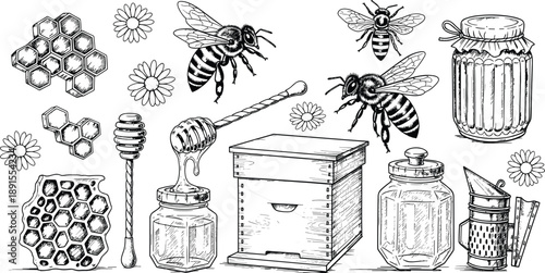 Honey Bee Beekeeping Elements Set with Honeycomb Jar Hive Dipper Flowers and Insects