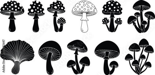 Forest Mushroom Silhouette Set with Amanita Gills and Fungus Elements for Nature Design
