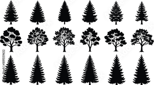 Tree silhouette vector collection with pine fir spruce and deciduous forest trees isolated on white background for stock illustration