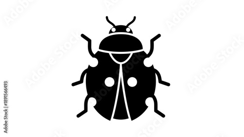 Black Beetle Silhouette Isolated on White Background