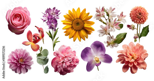 Colorful floral arrangement, various blooms