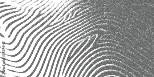 Abstract textured grey and white wavy lines pattern resembling fingerprint ridges