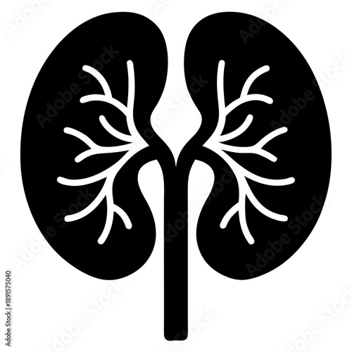 Kidney Icon Silhouette Vector Illustration
