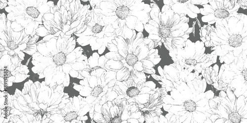 Detailed line of white daisy flowers with dark gray background floral monochrome