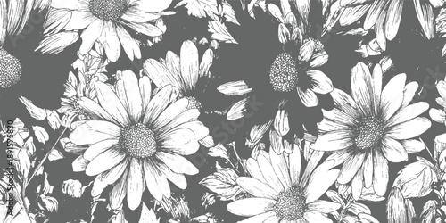 White daisy flowers with detailed petals and centers on a dark gray background