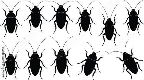 Cockroach silhouette set, insect pest poses collection, black bug icons, crawling roach vector illustrations isolated on white background