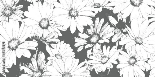 White daisy flowers with textured gray background in a dense arrangement floral