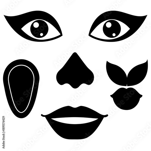 Black and white vector set of female eyes with eyelashes