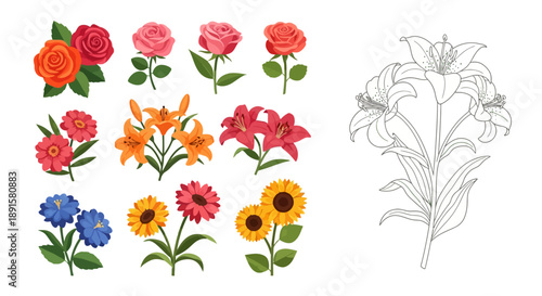 Colorful roses lilies and other flowers with a line art lily illustration