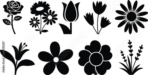 Flower silhouette icon set, floral botanical vector collection, rose tulip daisy blossoms, decorative nature design elements isolated on white background