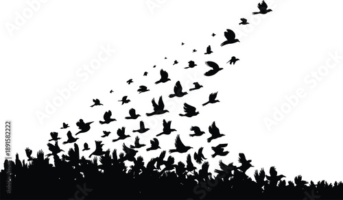 Flying bird silhouette flock, migrating birds wildlife scene, freedom nature concept, black avian shapes isolated on white background illustration vector