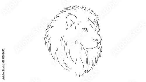 A minimalist line art illustration of a lion's head in profile, showcasing its majestic mane and regal expression.
