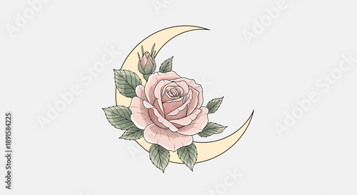 Elegant crescent moon adorned with a delicate pink rose and green leaves illustration.