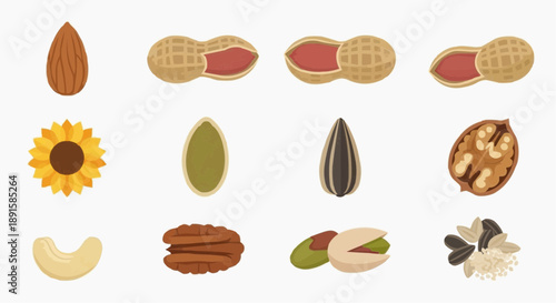 Assorted nuts and seeds arranged in a grid pattern on a clean white background viewed from directly above