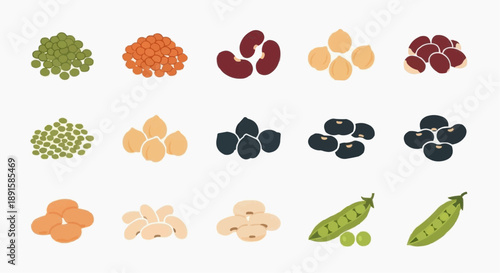 Collection of various legumes and beans illustrated in a grid pattern on a clean background