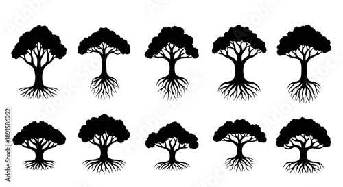 Diverse black silhouette tree collection with intricate root systems, perfect for nature-themed designs, environmental campaigns, and botanical branding elements