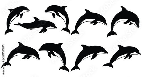 Dolphin silhouettes collection featuring playful marine mammals in swimming and jumping poses isolated on white background for ocean, wildlife, and nautical design projects