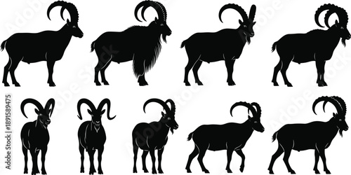 Ibex and mountain goat silhouettes collection featuring wild horned animals in standing and walking poses isolated on white background for wildlife and nature design projects