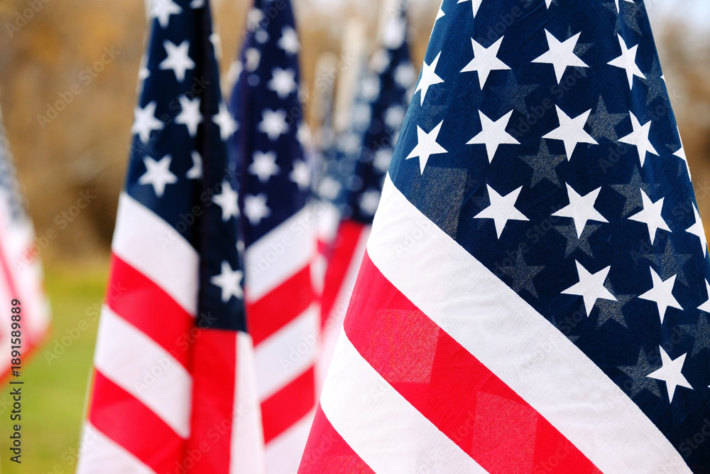 Fototapeta premium Cluster of American Flags for Memorial of Veterans of Armed Serv