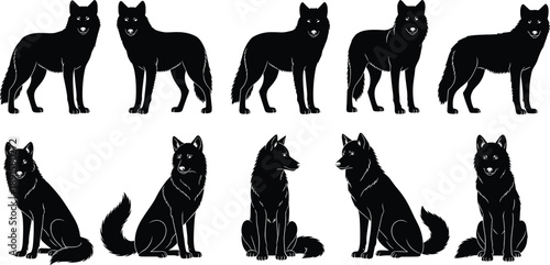 Wolf silhouettes collection featuring standing and sitting wild canine poses isolated on white background for wildlife, nature, logo, and illustration design projects