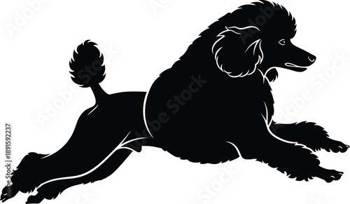 Black silhouette of a groomed poodle dog in a jumping or running pose with classic show cut and fluffy fur.