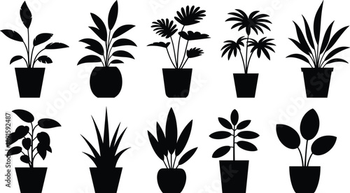 Black silhouette collection of potted indoor houseplants and tropical foliage icons for nature design, gardening decoration, botanical illustration, modern home decor, and plant graphic concepts.