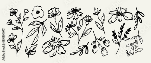 Hand draw ink trendy floral illustration