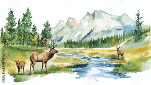 Yellowstone National Park. Yellowstone National Park hand drawn watercolor illustration
