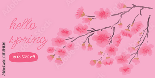Hello Spring Sale Banner, Sakura Cherry Blossom Branches, Pink Petals frame typography, up to 50 percent off, watercolor style, flat Vector Illustration on beige background