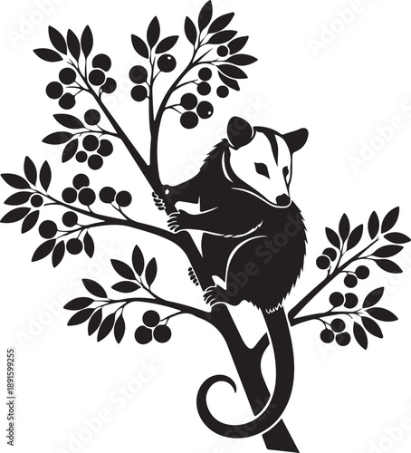 Black opossum perched on a branch with berries and leaves animal wildlife nature tree