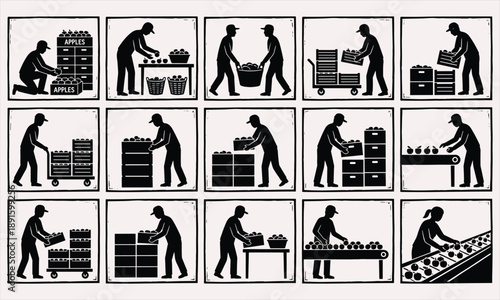 Apple warehouse workflow silhouettes, workers sorting packing fruits, logistics production process illustration, food industry operations, black vector icons set