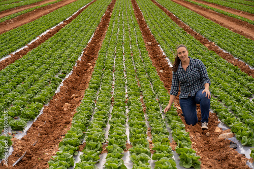 Woman farmer inspecting organic lettuce crop in field
