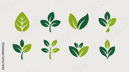 A collection of stylized green leaf illustrations is displayed against a neutral background showcasing varying shapes and vein patterns high quality professional detailed modern elegant stylish