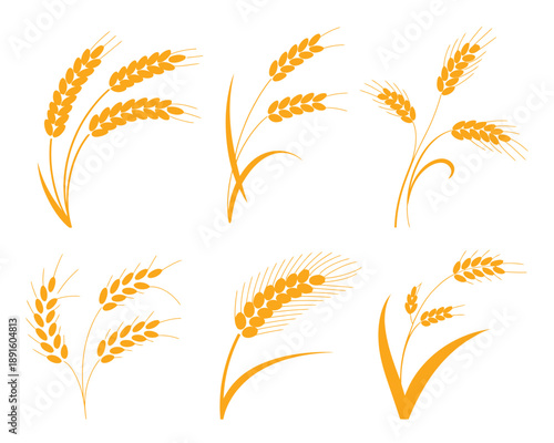 A collection of golden wheat icons on a white background