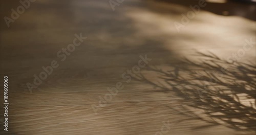 Aesthetic shadow play of swaying leaves on a minimalist oak hardwood floor during golden hour morning sunlight with copy space