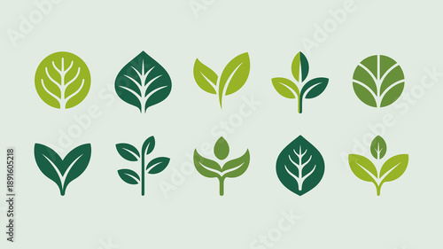 A collection of vibrant green leaf icons are displayed in various shapes and sizes forming a botanical illustration high quality professional detailed modern elegant stylish clean