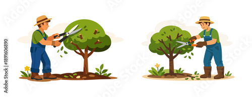 Gardener trimming tree branches with garden shears. Flat illustration of pruning and plant maintenance