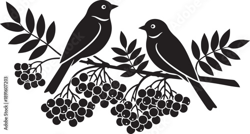 Two black birds perched on a branch with berries and leaves berry