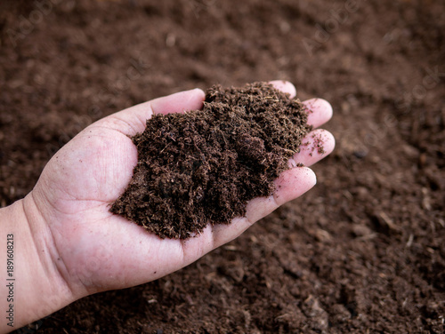 Hand holding rich organic peat moss soil for planting, agriculture and gardening preparation