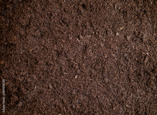 Tableau sur toile Top view of organic soil texture background, dark brown potting mix for gardenin