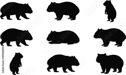 Set of bear silhouettes in various poses, wildlife animal collection isolated on white background for nature design and stock illustration