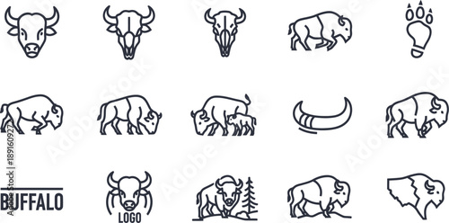 Buffalo and bison illustrations in various poses and views