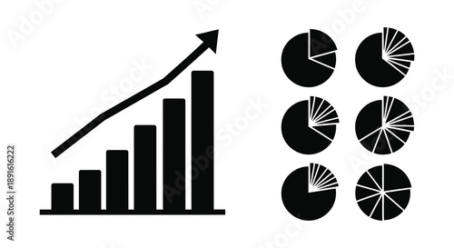 A graphic representation depicts upward trending bar graphs alongside pie charts creating a visual summary of data silhouette